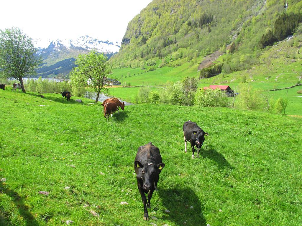 Tuftegarden Hotel Viksdalen Eksteriør billede